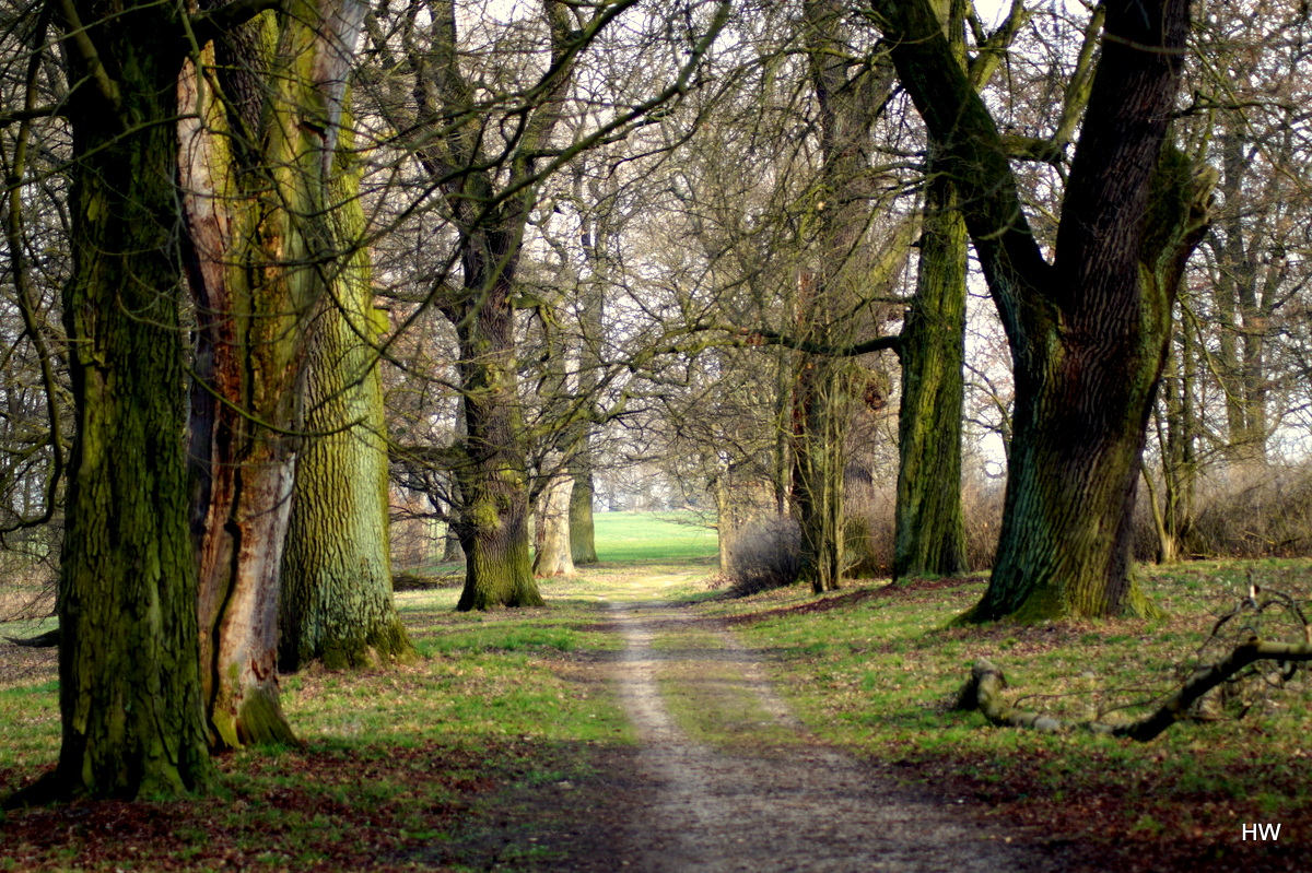 Im Schlosspark Blumberg