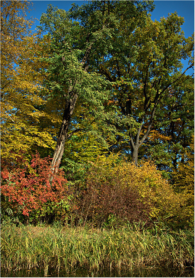 Im Schloßpark Branitz