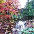 Im Schlosspark (Charlottenburg)