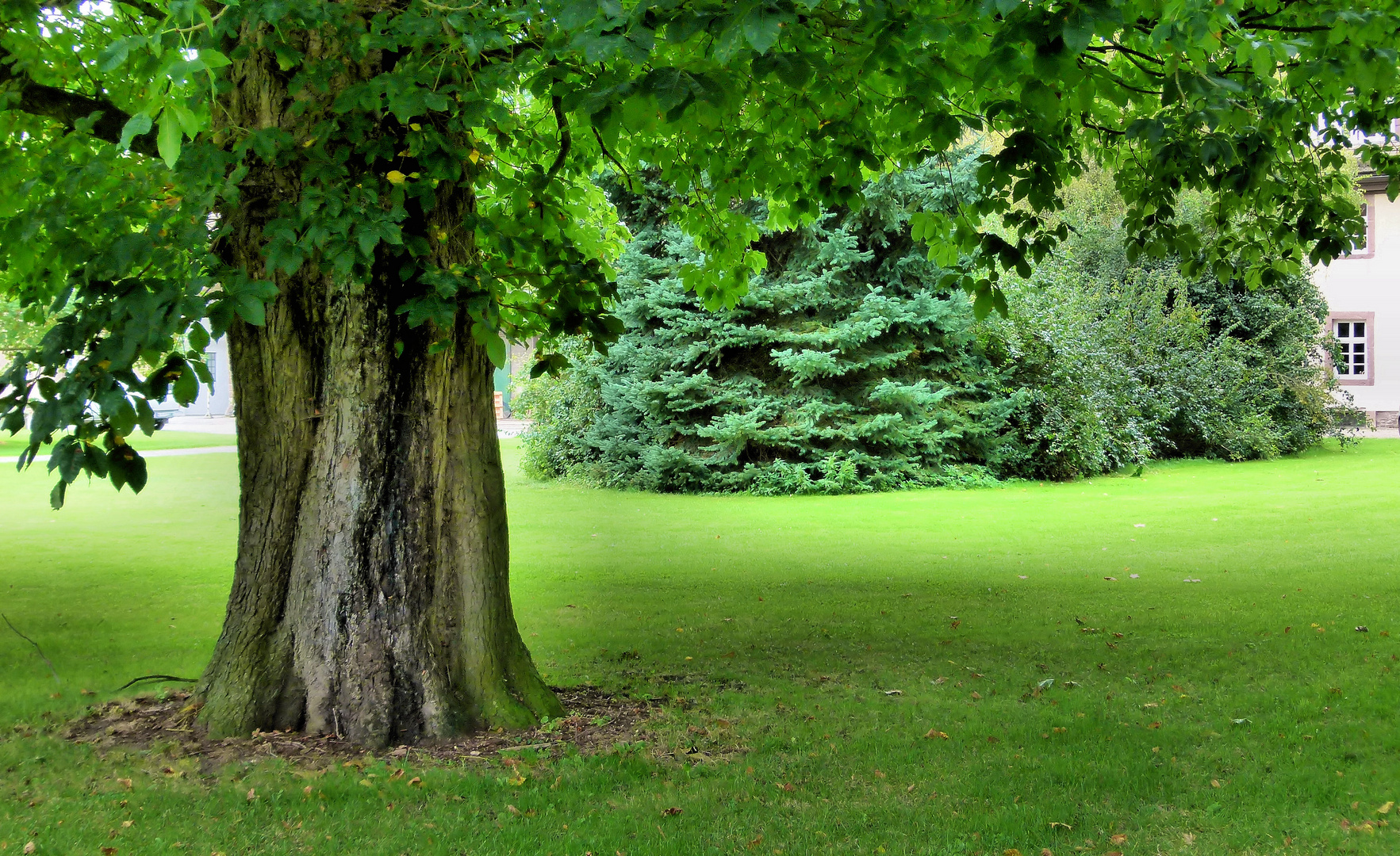 im Schloßpark Corvey