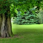 im Schloßpark Corvey