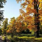 Im Schloßpark