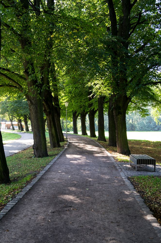 Im Schlosspark Delitzsch