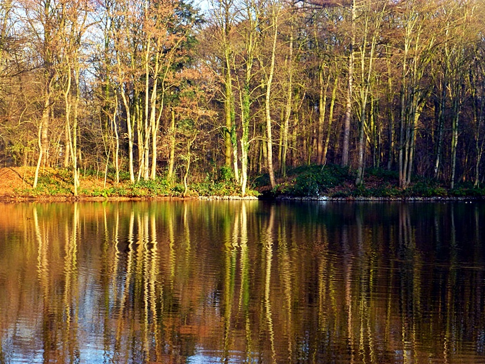 Im Schlosspark Düsseldorf-Eller