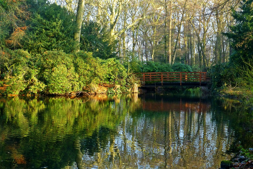 Im Schlosspark Düsseldorf-Eller