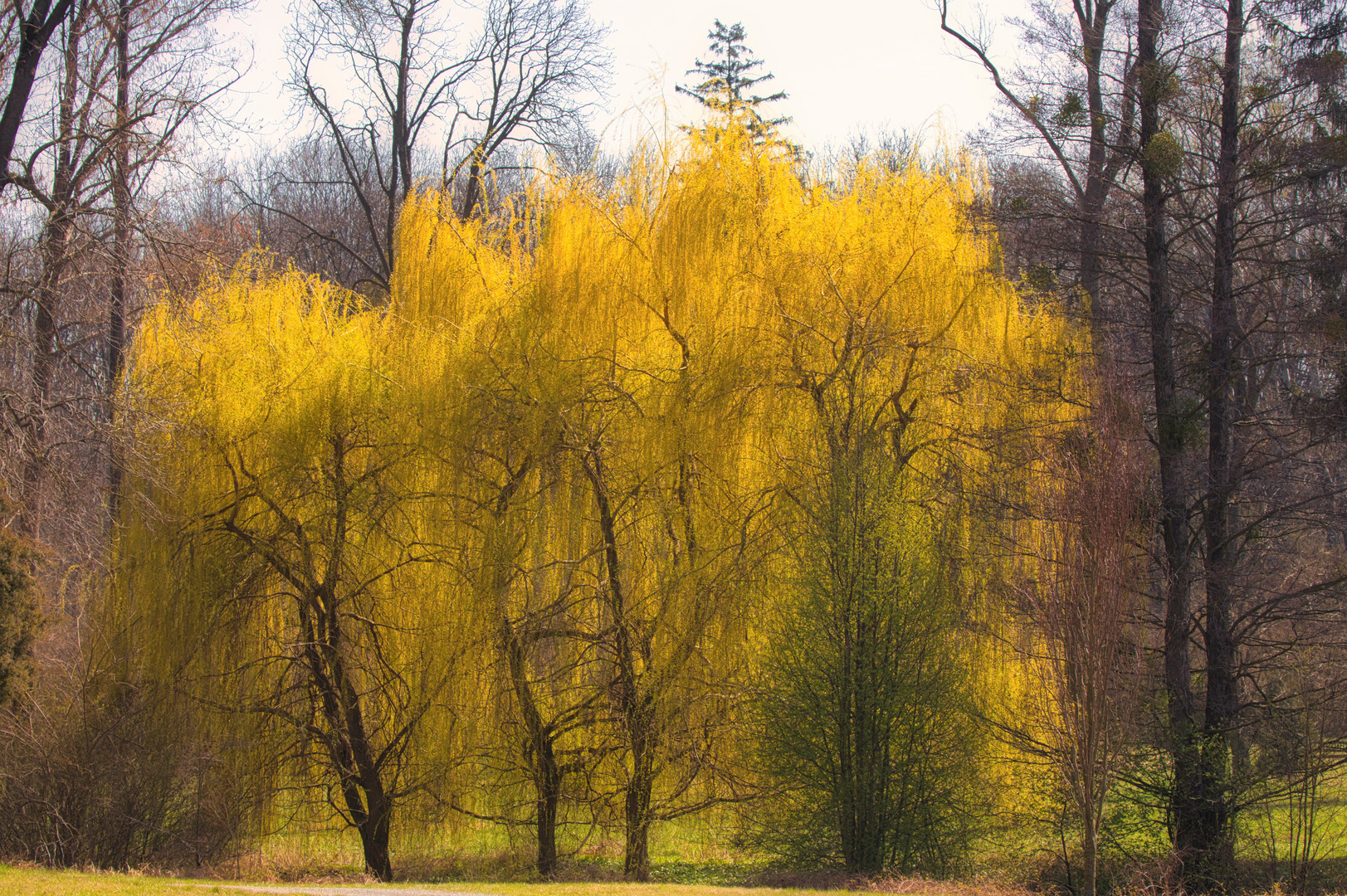 im Schlosspark Eckartsau