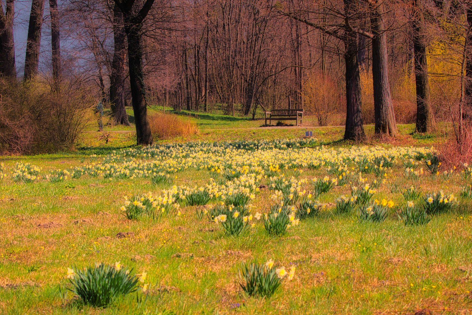 im Schlosspark Eckartsau