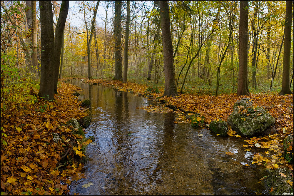 im Schloßpark