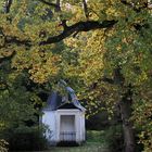 Im Schlosspark  Heltorf gab es Herbstzauber…