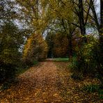 Im Schlosspark Herten