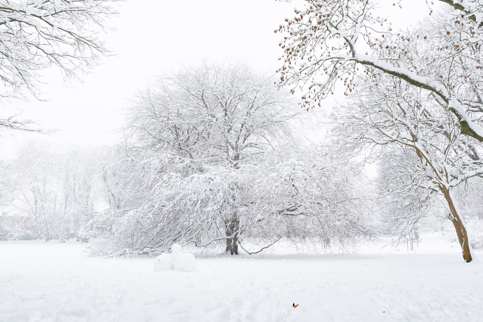 Im Schlosspark Husum