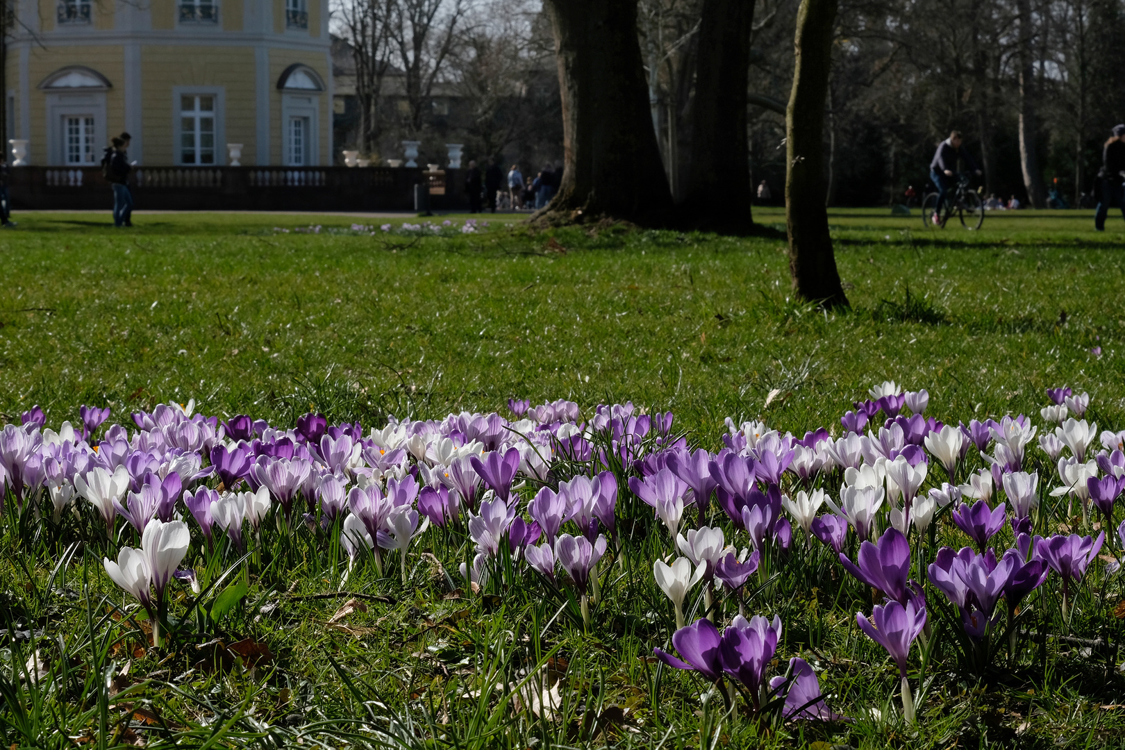 Im Schlosspark Karlsruhe