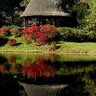 Im Schloßpark Lütetsburg