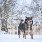 Im Schlosspark Niederschönhausen - vor unserem Schloss, sozusagen...