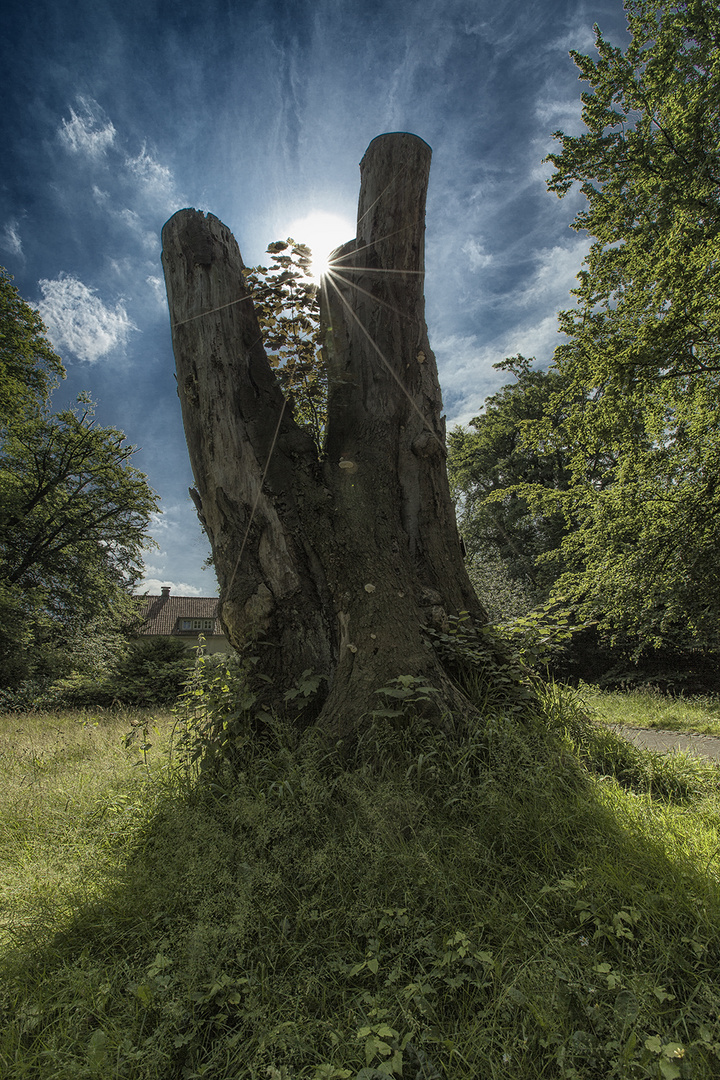 Im Schlosspark Oldenburg