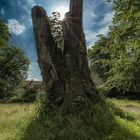 Im Schlosspark Oldenburg