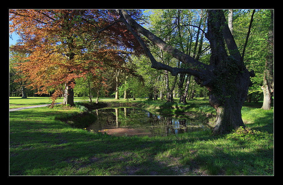 Im Schloßpark Pansevitz...