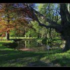 Im Schloßpark Pansevitz...