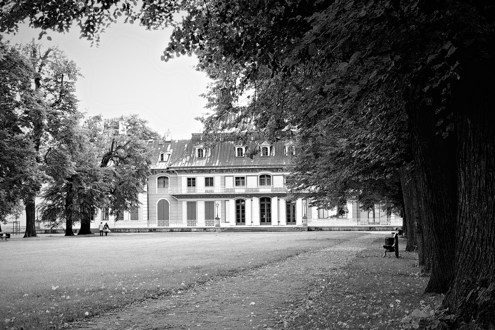 Im Schlosspark Pillnitz