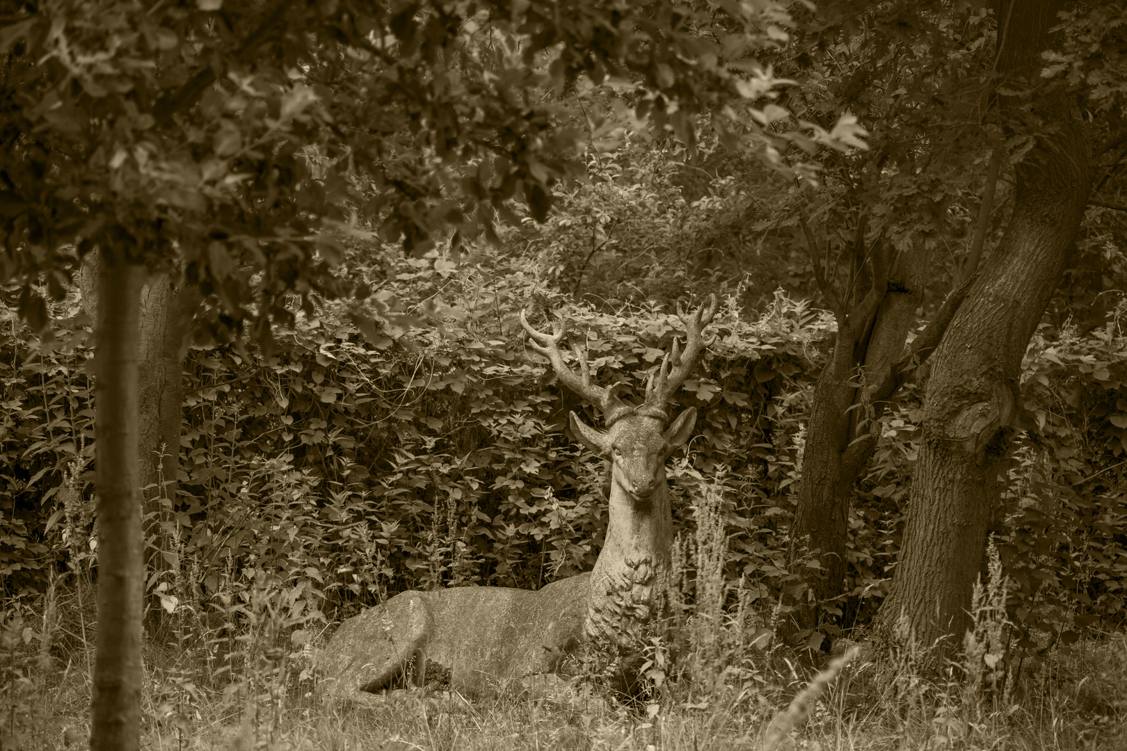 Im Schloßpark Prillwitz