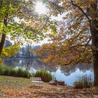 Im Schloßpark Putbus