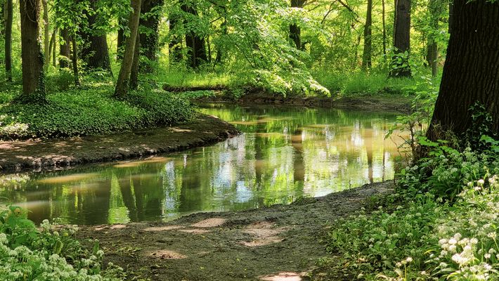 Im Schloßpark Rötha