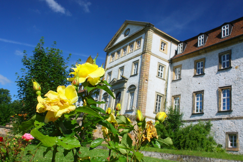 Im Schlosspark Salzgitter-Ringelheim