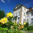 Im Schlosspark Salzgitter-Ringelheim