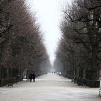 Im Schlosspark Schönbrunn