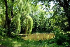 Im Schlosspark Schönwölkau