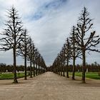 im Schlosspark Schwetzingen