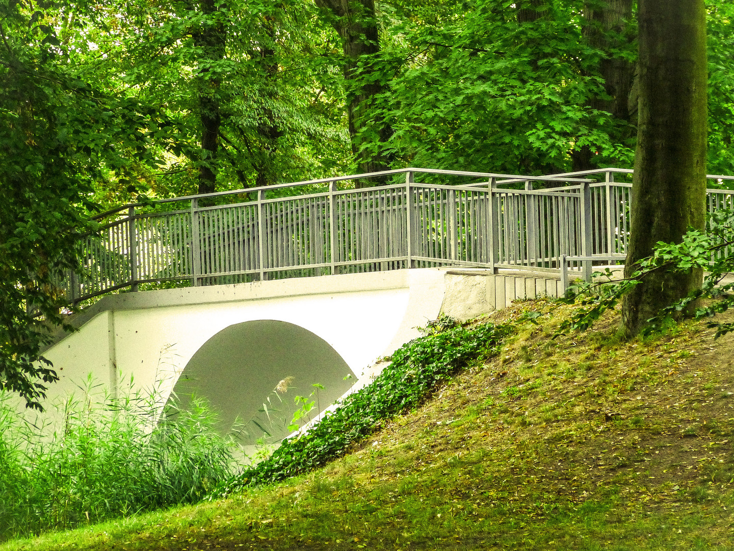 im Schlosspark Senftenberg