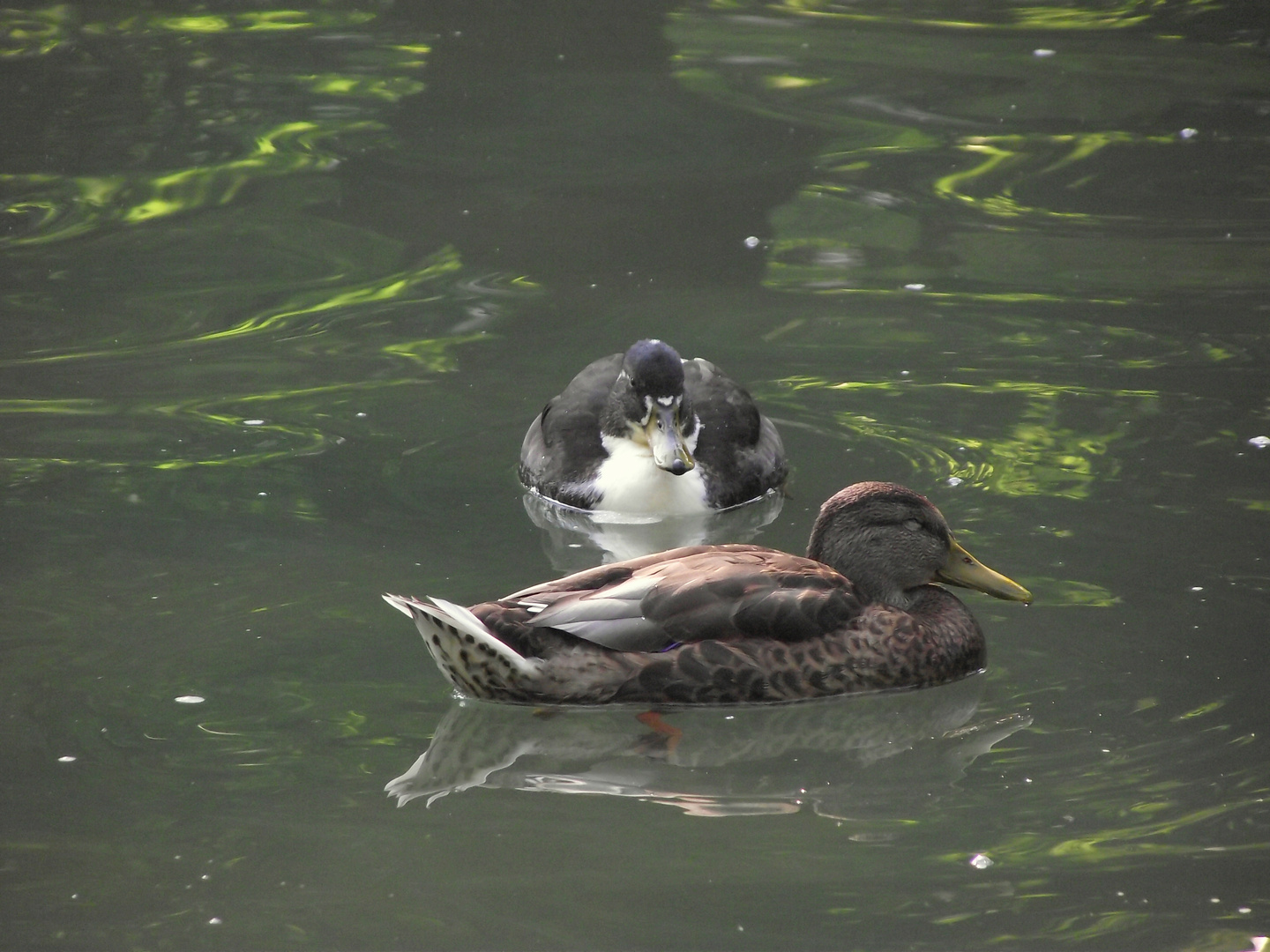 Im Schloßpark von Fulda 2