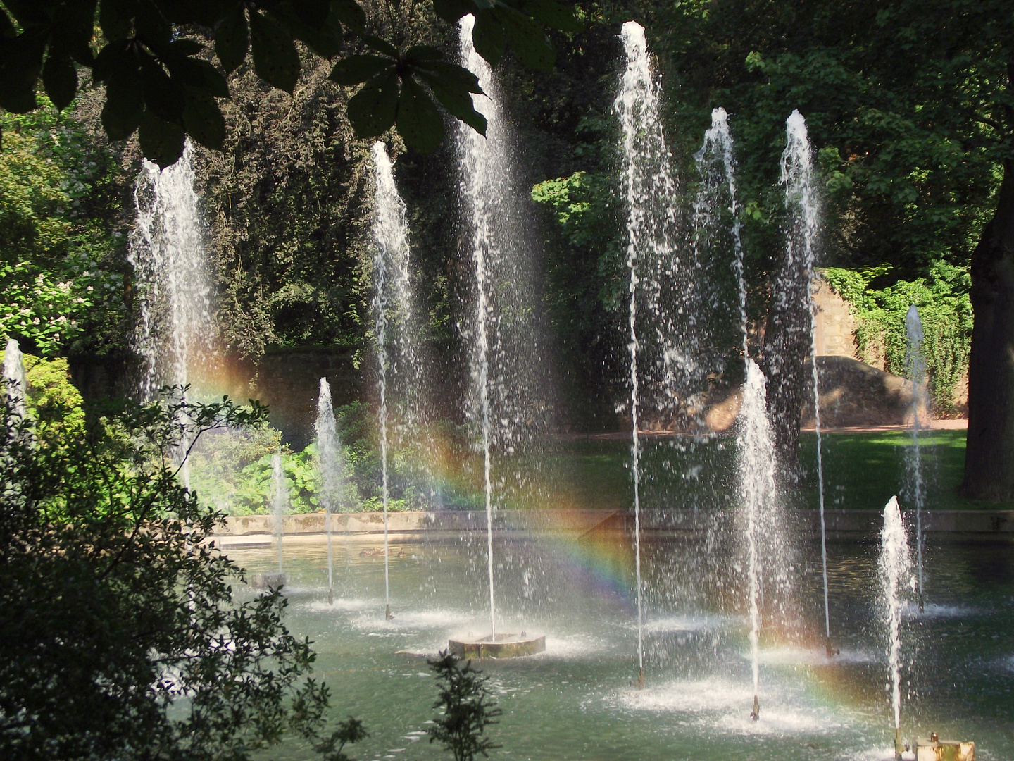 Im Schloßpark von Fulda 3