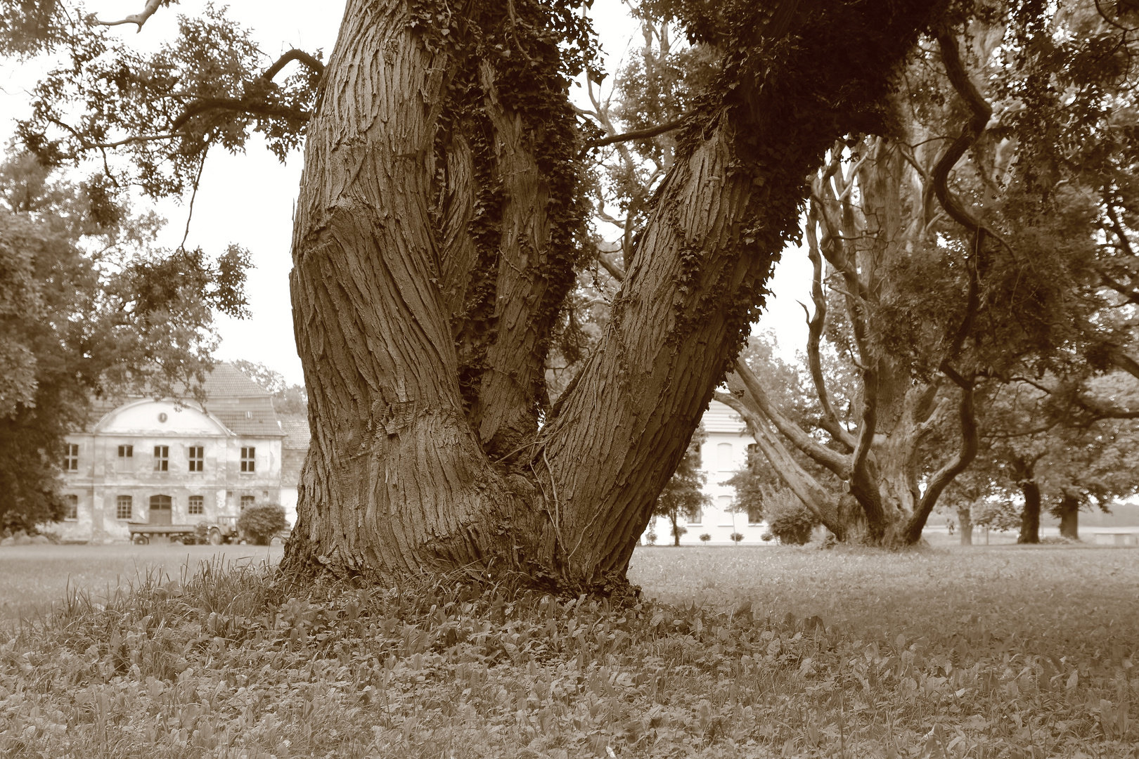 Im Schlosspark von Ivenack