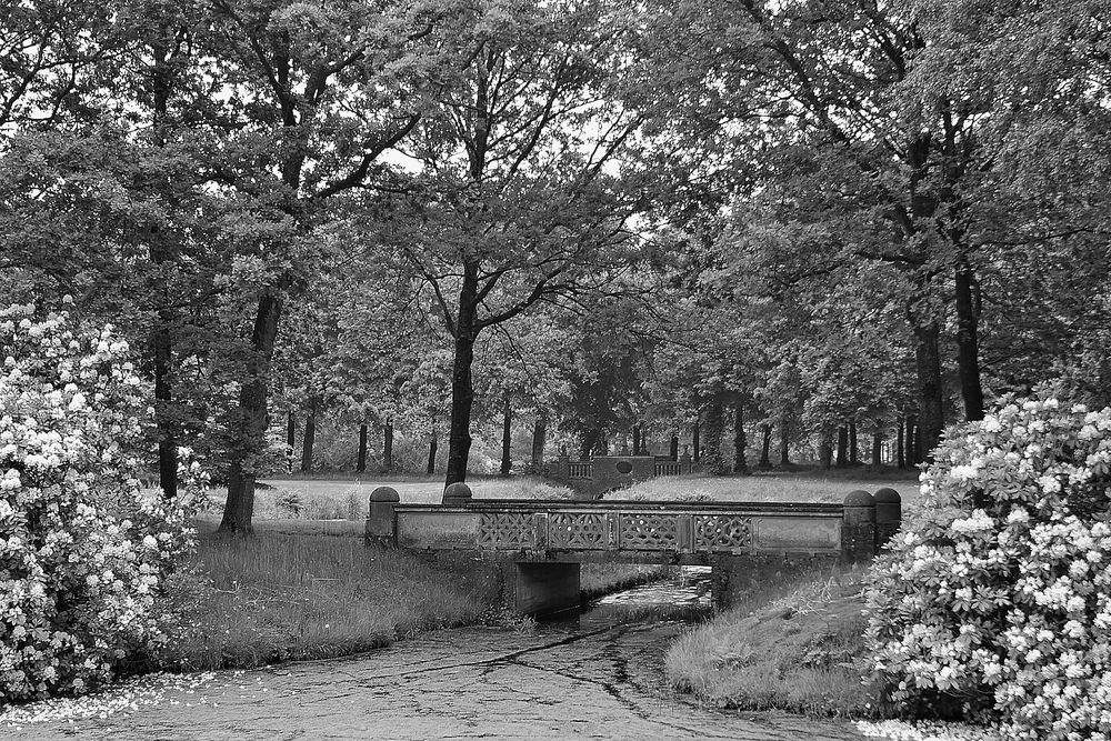 Im Schlosspark von Lütesburg