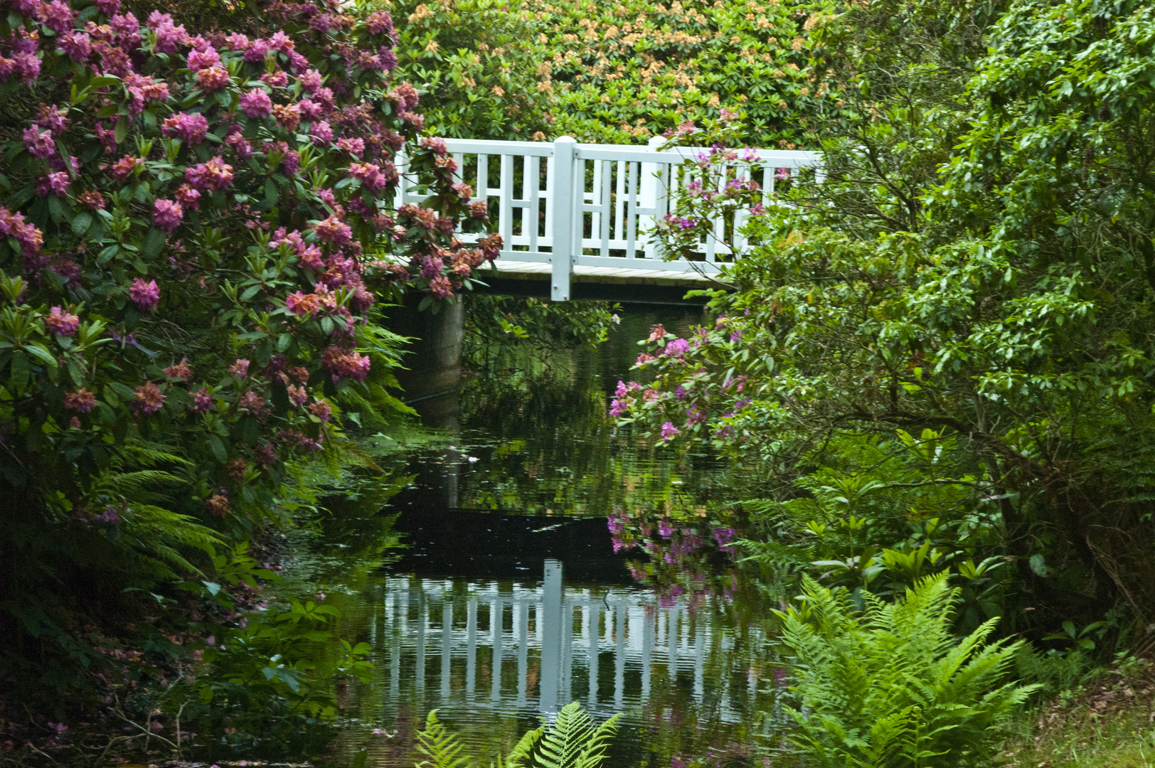 Im Schloßpark von Lütetsburg.