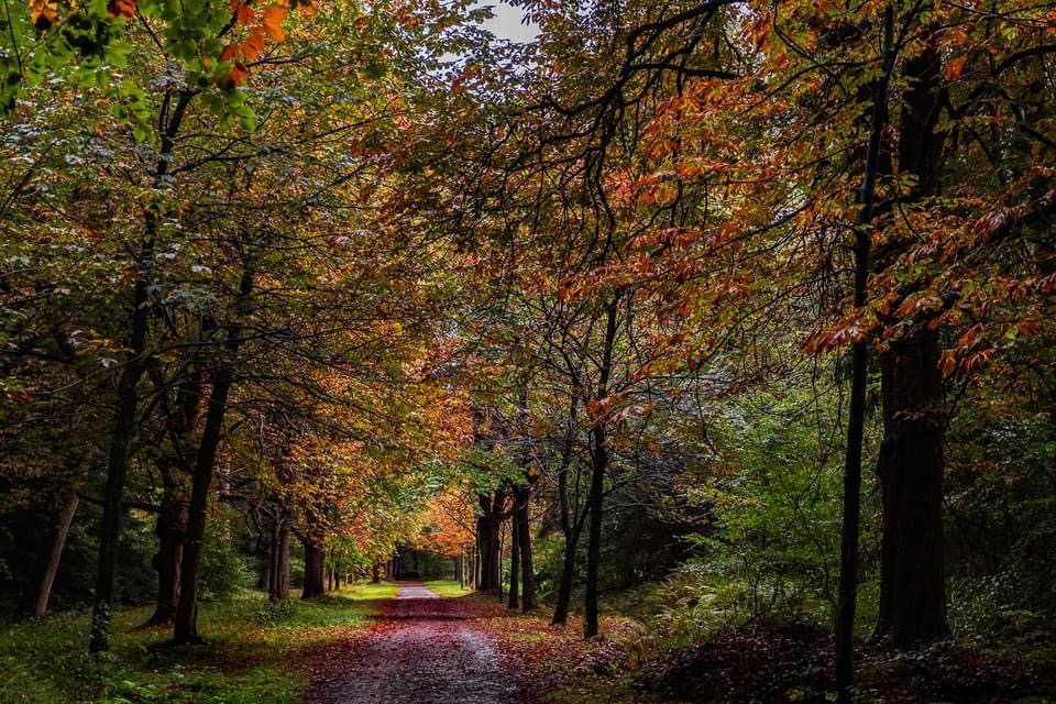 Im Schlosspark von Rastede im Ammerland 