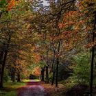 Im Schlosspark von Rastede im Ammerland 