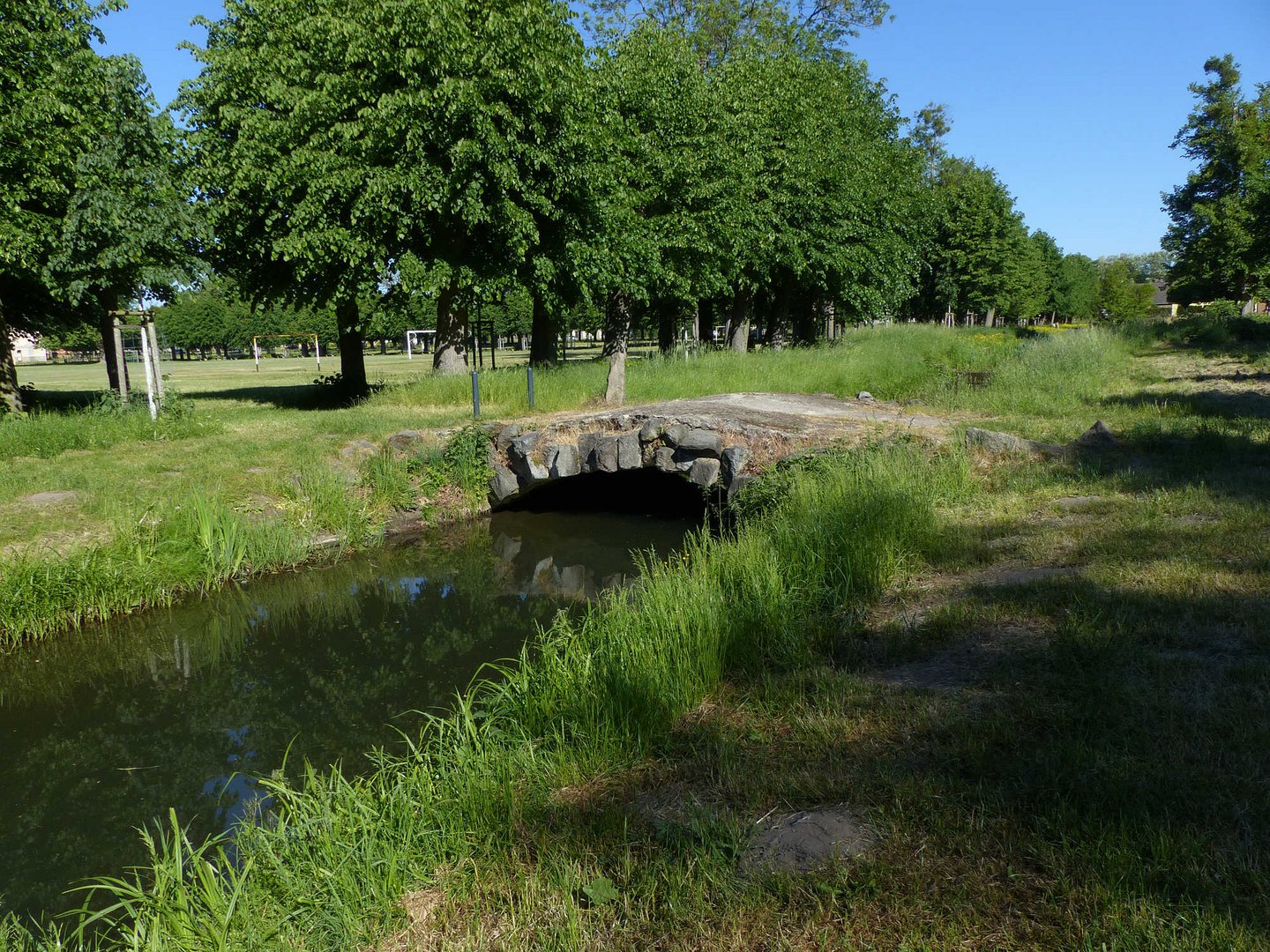 Im Schlosspark von Remplin