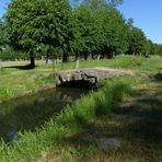 Im Schlosspark von Remplin