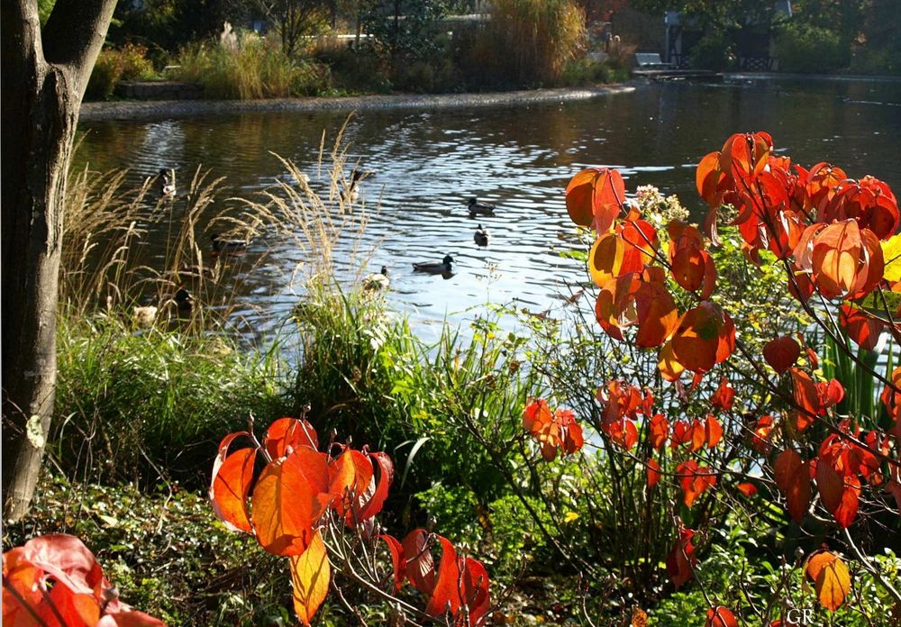 Im Schloßpark von Weinheim