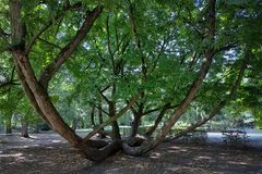 Im Schlosspark Wickrath