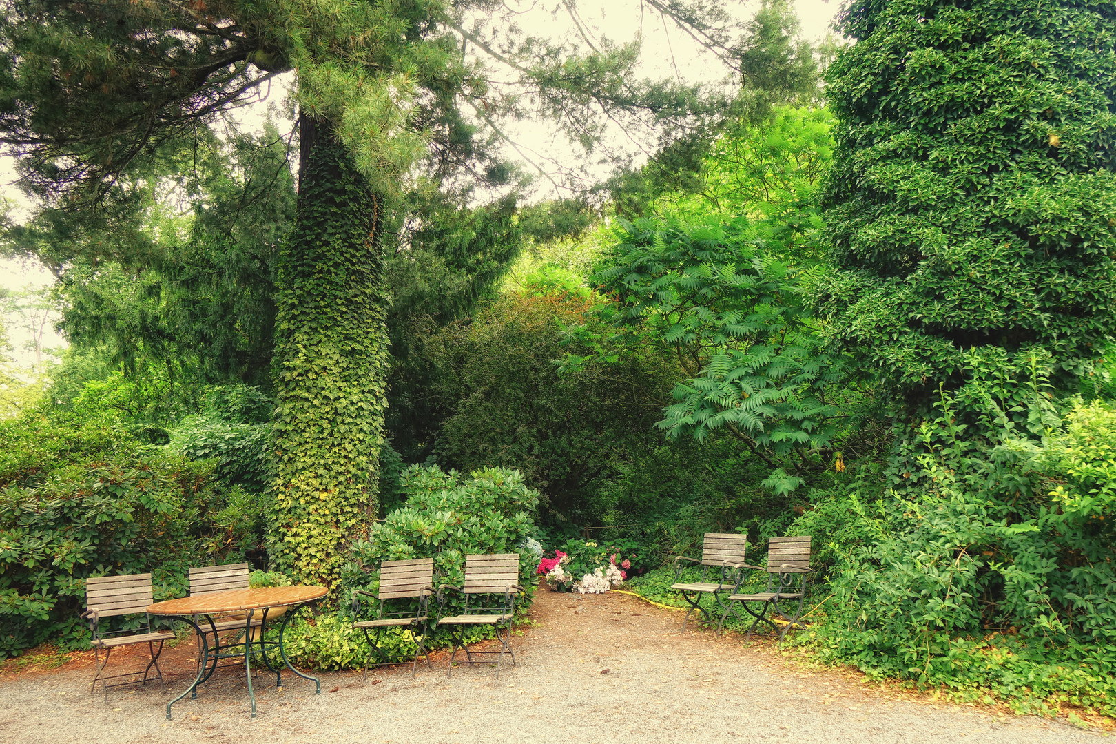 ... im Schlosspark Zuschendorf