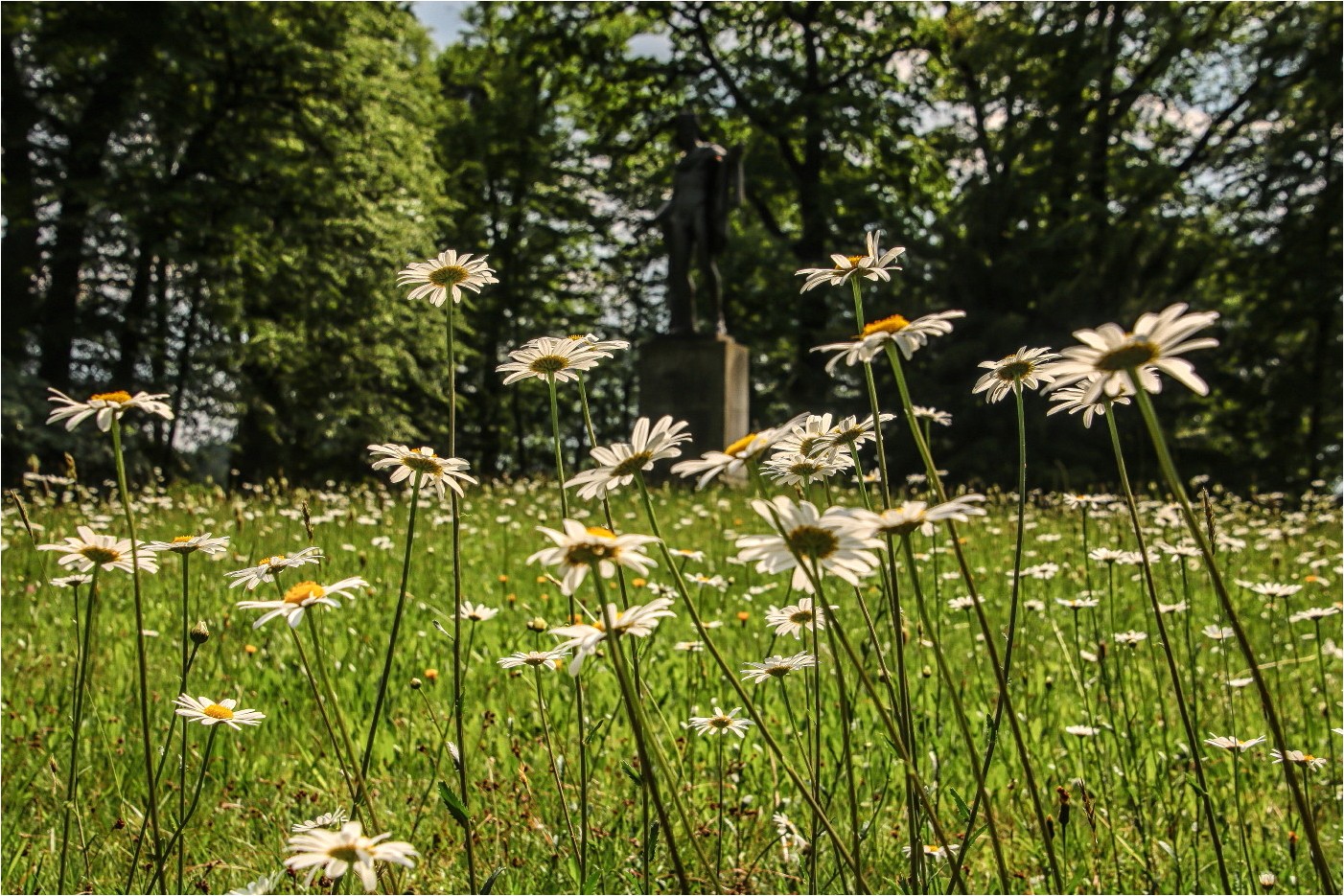 Im Schloßparkblumenmeer