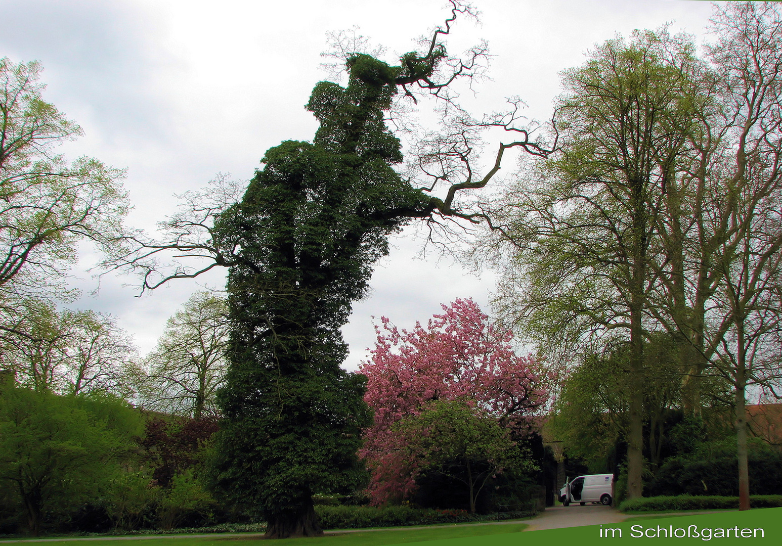 im Schloßrgarten Corwey OWL 6