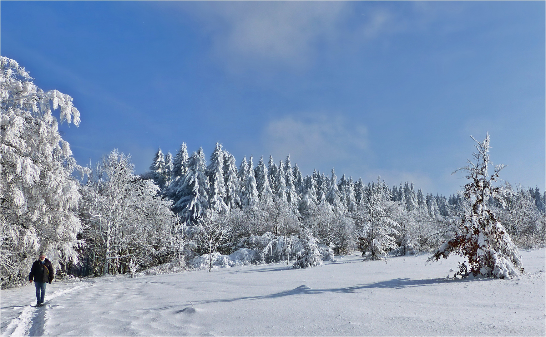 im Schnee Foto & Bild wald, februar, winter Bilder auf