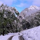 Im Schnee auf dem Weg nach Gerstruben