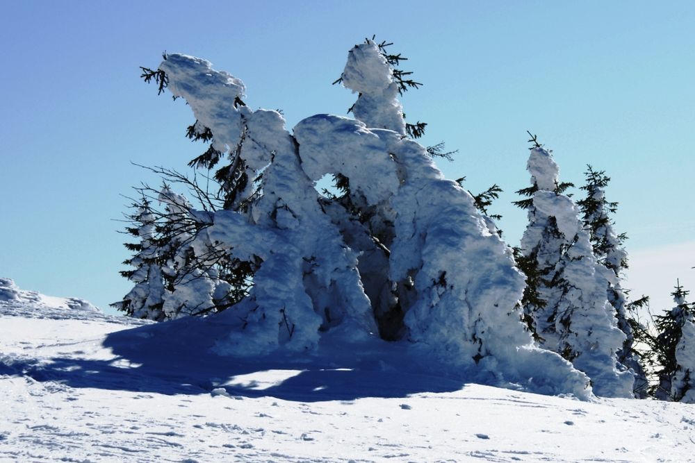 im Schnee gegen den Wind