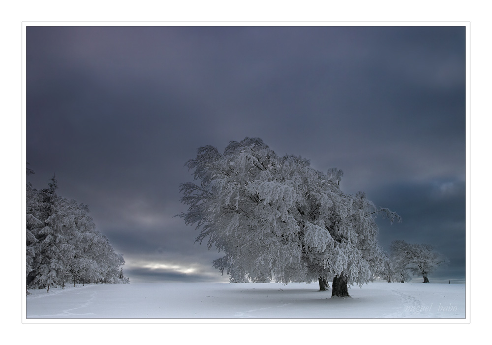 Im Schnee gepackt